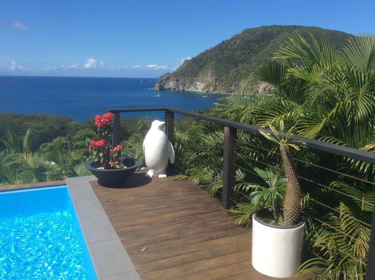 Villa Pelican Lodge Deshaies Esterno foto